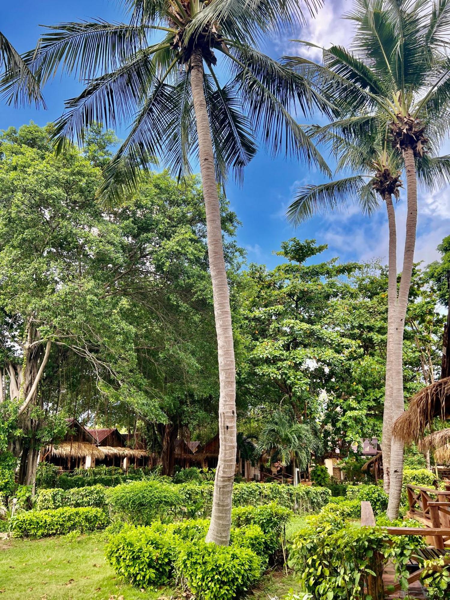 Nautilus Right On The Beach - Adult Only - Sha Extra Plus Ko Lanta Exterior foto